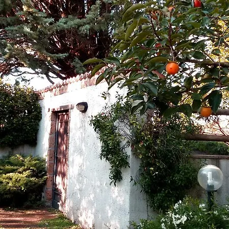 La Filagna Country House Bed & Breakfast Civitella dʼAgliano