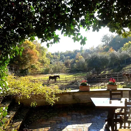 La Filagna Country House Bed & Breakfast Civitella dʼAgliano