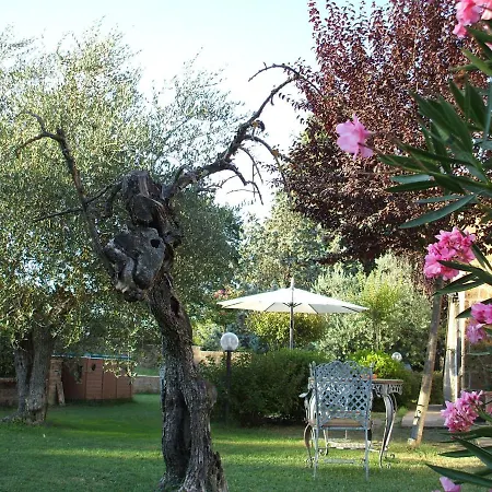 Bed & Breakfast La Filagna Country House Civitella dʼAgliano